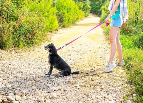 Camping Ametlla, 4* - 48