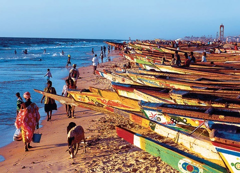 Le Sénégal, des dunes du Dakar au delta du Saloum - 10