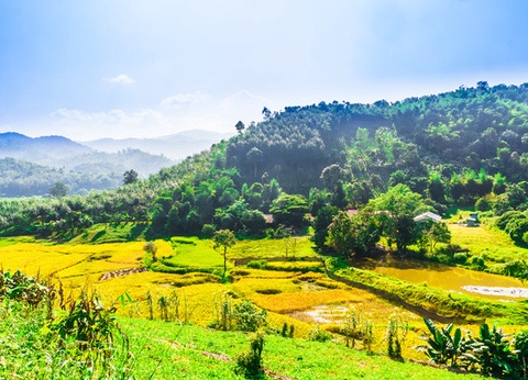 Circuit Richesses et traditions de Thaïlande + extension découverte du sud - 9