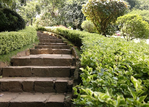 Circuit Sri Lanka Ile émeraude - 11