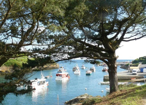 Flower Camping le Kergariou, 3* - 46