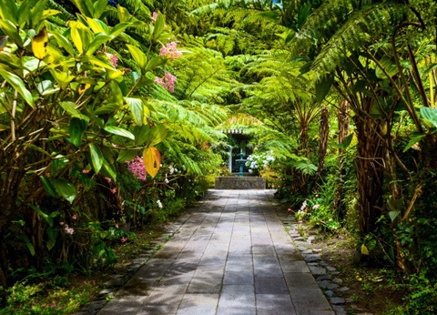 Circuit Couleurs de La Réunion - 12