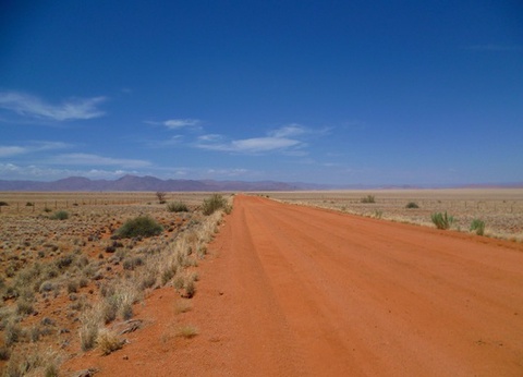 Circuit Du Royaume des Animaux aux Sables du Kalahari **Version 2026** - 13