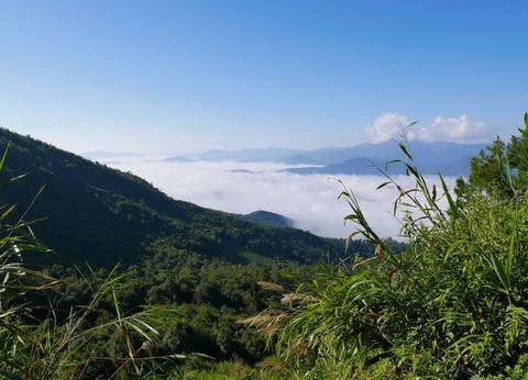 CIRCUIT YUNNAN AUX ORIGINES DU THE - 3