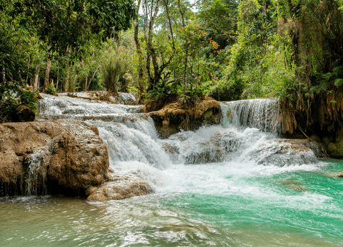 De Luang Prabang au Lotus du Cambodge - 27