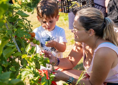 Camping SUNELIA Les Sablons, 5* - 55