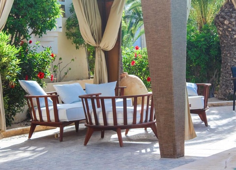 Hôtel Joya Paradise 4* - 12