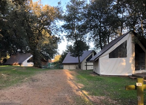 Camping Le Bosquet - 3