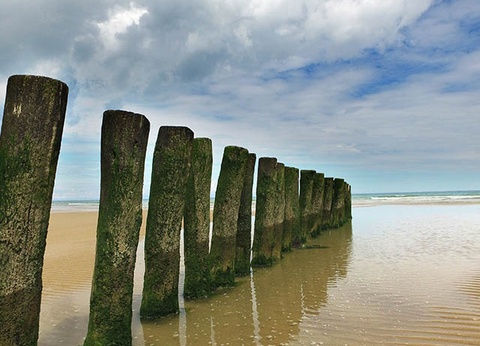 VVF Blériot Plage 3* - 11