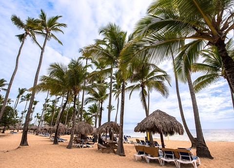 Hôtel Grand Sirenis Cocotal Beach Resort 5* - 6