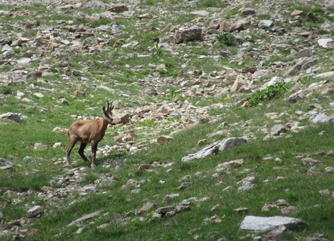 Camping La Ribière, 3* - 15