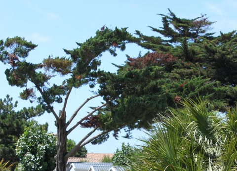 Camping Barataud 3* - 23