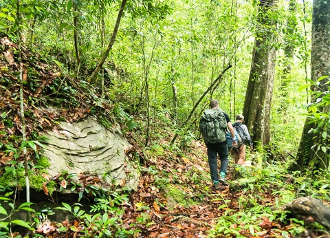 Circuit Traversée de la jungle luxuriante - 6