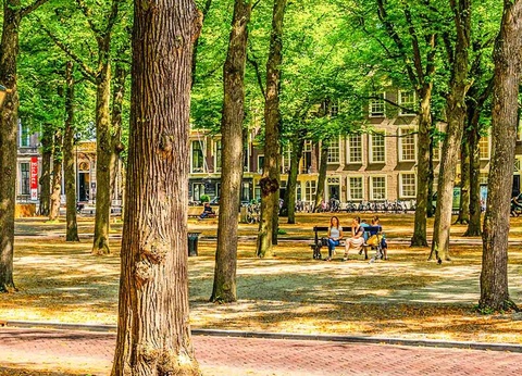 Week-end romantique à La Haye avec visite du Keukenhof - 4* - 5