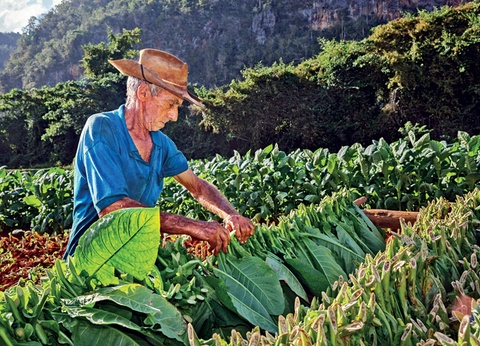 Cuba, Charme des Caraïbes - 2