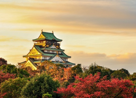 Magie du Japon ext. Tokyo - Vol Air France - 16J/14N - 2025 - 5