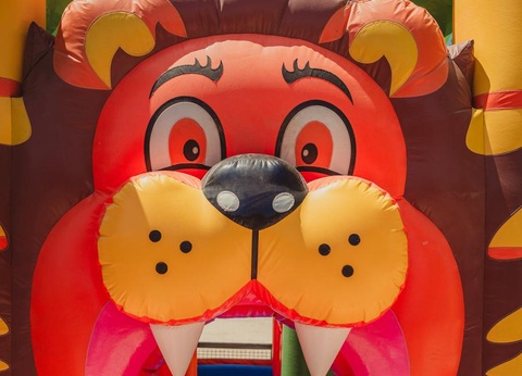 Camping Les Tamaris et Les Portes Du Soleil, 3* - 24