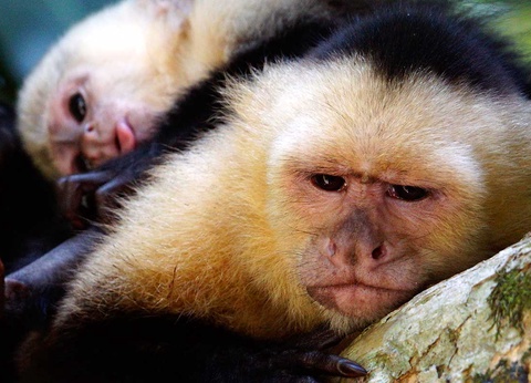 Circuit Costa Rica Nature - 14