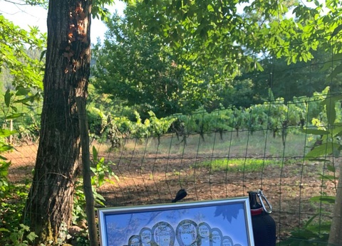 Camping Ushuaïa Village Les Cruses, 3* - 18