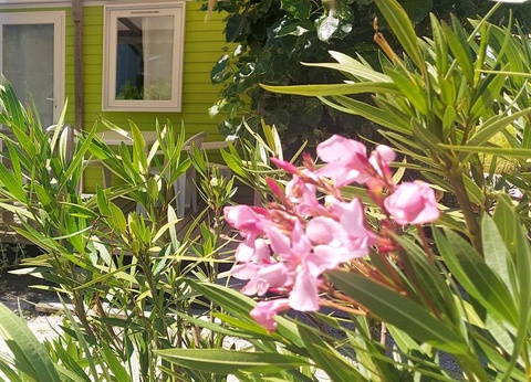 Camping Le Bois Verdon, 4* - 35