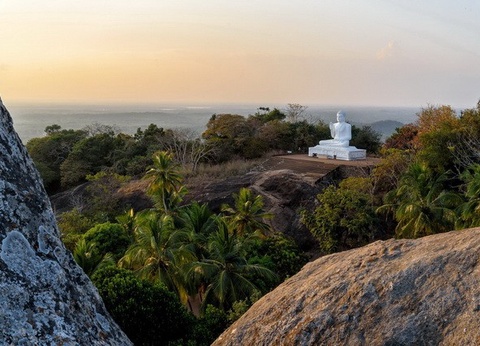 Circuit privé Ceylan buissonnier - 14