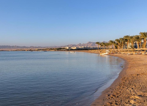 Combiné Déesses du Nil et Palm Royale Resort Soma Bay - 20