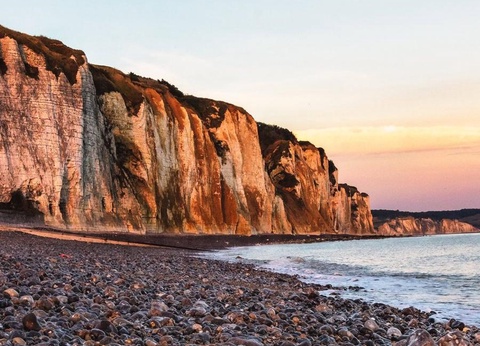 Flower Camping Vitamin, 4* - 31