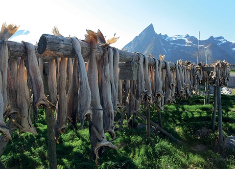 Circuit Majestueux Fjords et îles Lofoten - 6