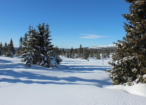Circuit Magie des Fjords - 6