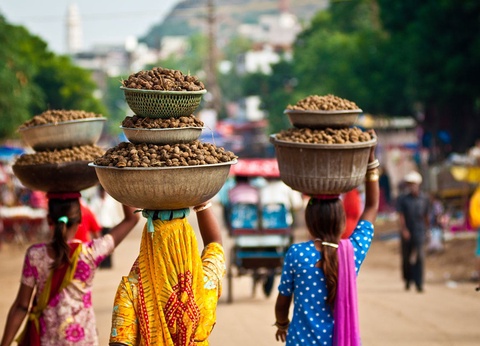 Circuit Au coeur de l'Inde millénaire - 13