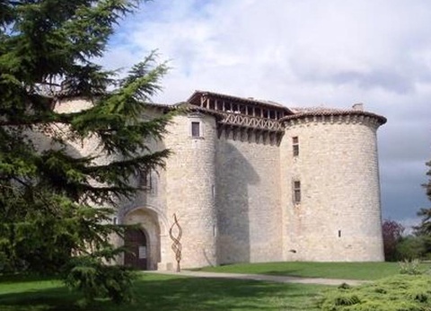 Flower Camping Le Soleil des Bastides, 3* - 41