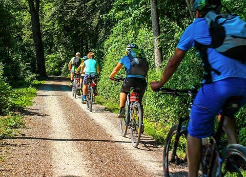 Camping Les Micocouliers 3* - 23