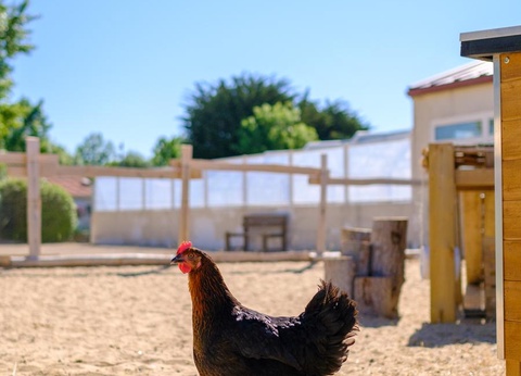 Camping Le Grand Pré - 6