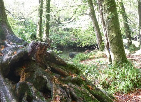 Camping La Riviere D'Argent, 3* - 55