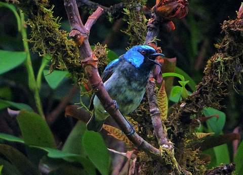 Tentatrice nature 13 jours - 9