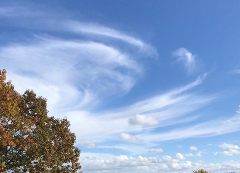 Domaine Vallée Du Tarn, 3* - 41