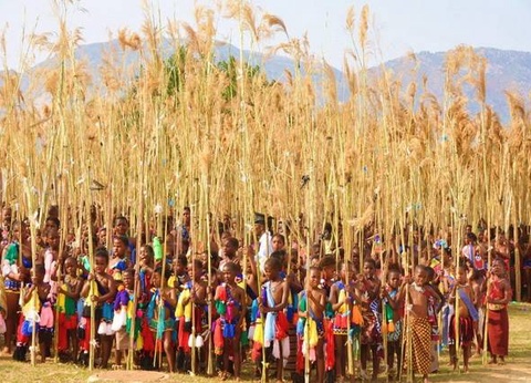 Chroniques d'Afrique Australe - Afrique du Sud, Zimbabwe, Eswatini - 23