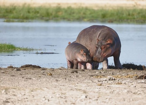 Circuit Explorations du Kenya 100% Safari - 11