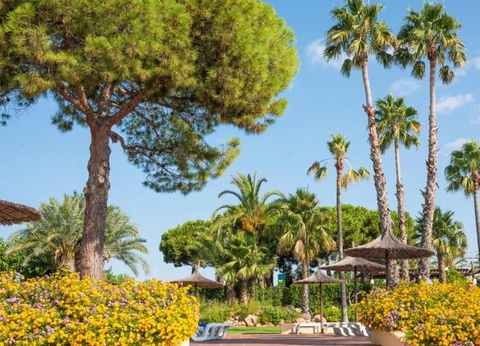 Camping Stel - Roda de Bara, 4* - 38