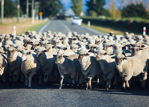 Regard sur l'Irlande 2026 - 8 jours / 7 nuits - 3