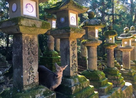 LA GRANDE TRAVERSEE DU JAPON EXT HOKKAIDO - 14