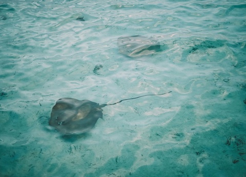 Circuit De Manille aux perles de Palawan : l'âme des Philippines - 10
