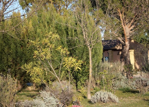 Flower Camping Le Dolium, 4* - 24