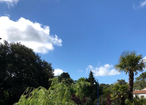 Camping du Petit Pont, 3* - 41