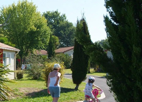 Camping Lou P'tit Poun, 4* - 36