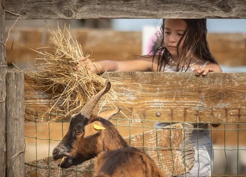 Camping Méditerranée Plage, 4* - 63