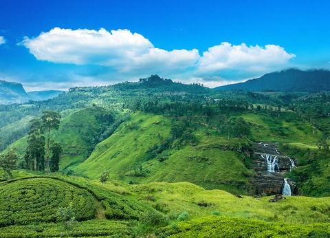 Circuit Sur la Route des temples Sri Lankais 3/4* - 11