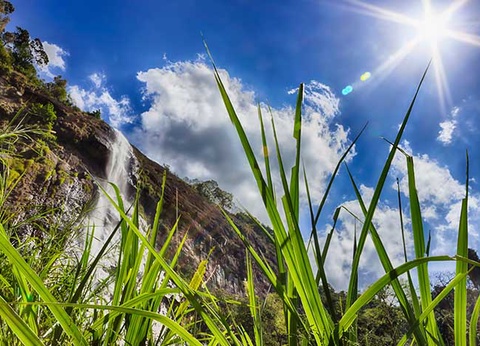 Circuit Le Sri Lanka autrement - 7