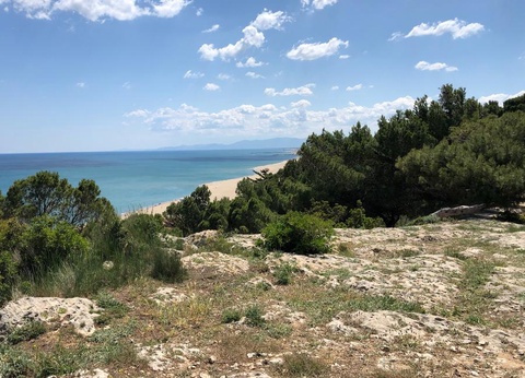 Camping La Grange Neuve, 3* - 20