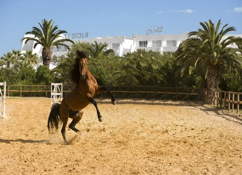 Hôtel Le Sultan Hammamet 4* - 25